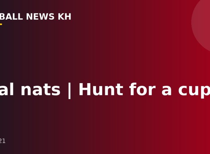 Dual nats |  Hunt for a cup